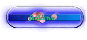 Innocoll Partner Biovirtus Innocoll Partner Biovirtus