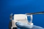 Podiatric surgery CollaCare Sponge